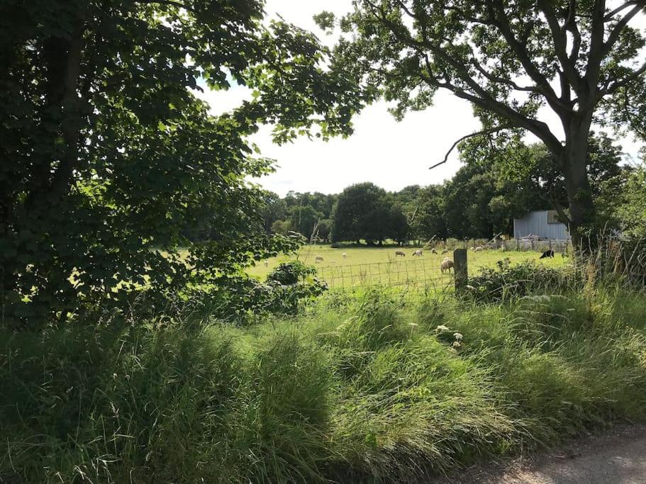 Holiday home Betty's - Traditional Norfolk Farm *