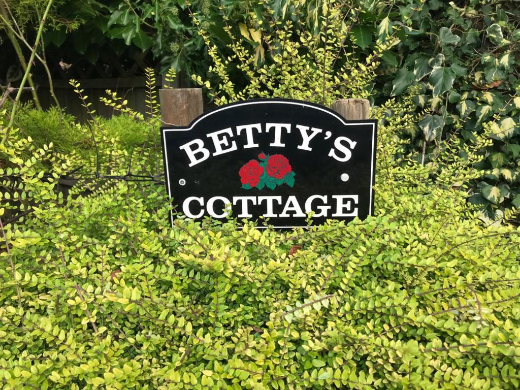 Holiday home Betty's - Traditional Norfolk Farm *